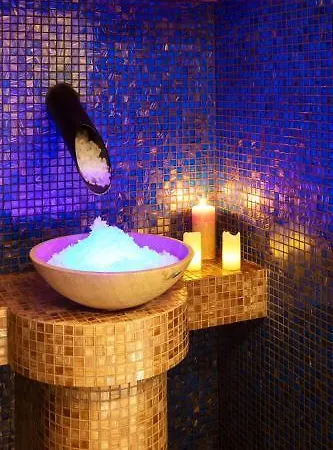 Ours Blanc Hotel&spa 4* Saint-Martin-de-Belleville