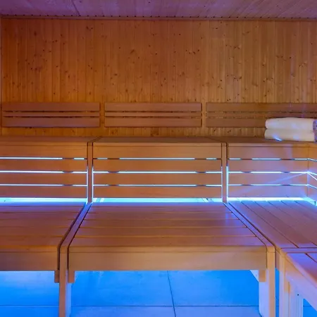 Hotel Ours Blanc Hotel&spa Saint-Martin-de-Belleville